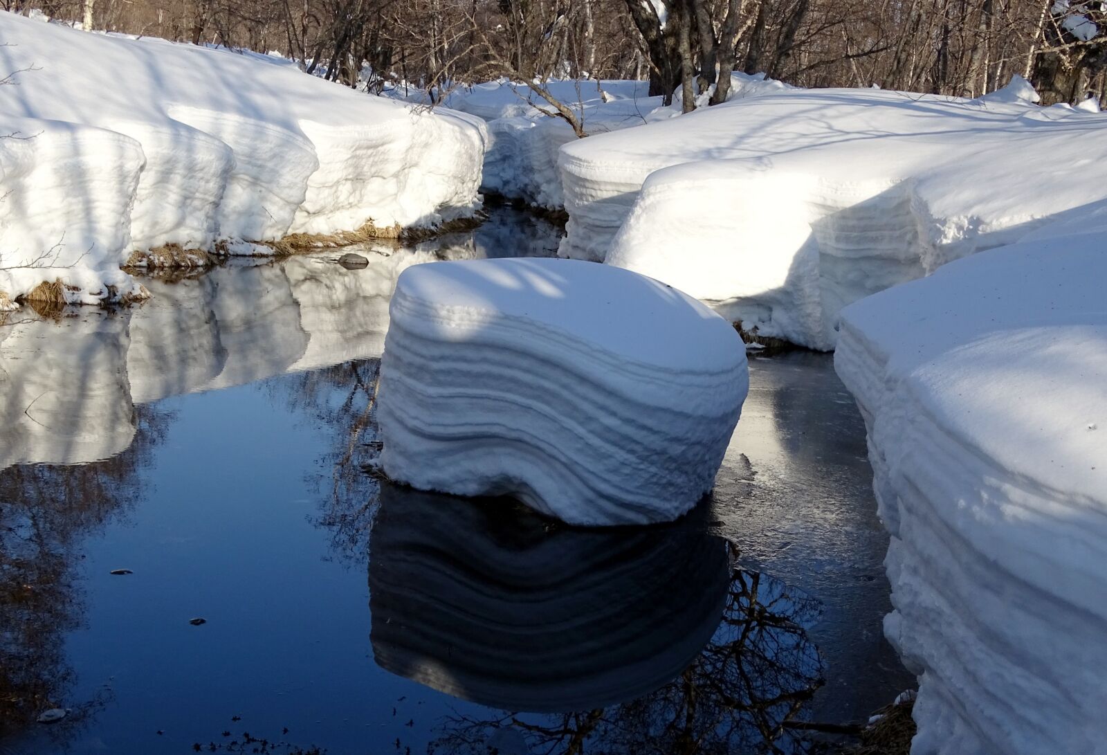 Sony DSC-HX400 sample photo. Forest, river, winter photography