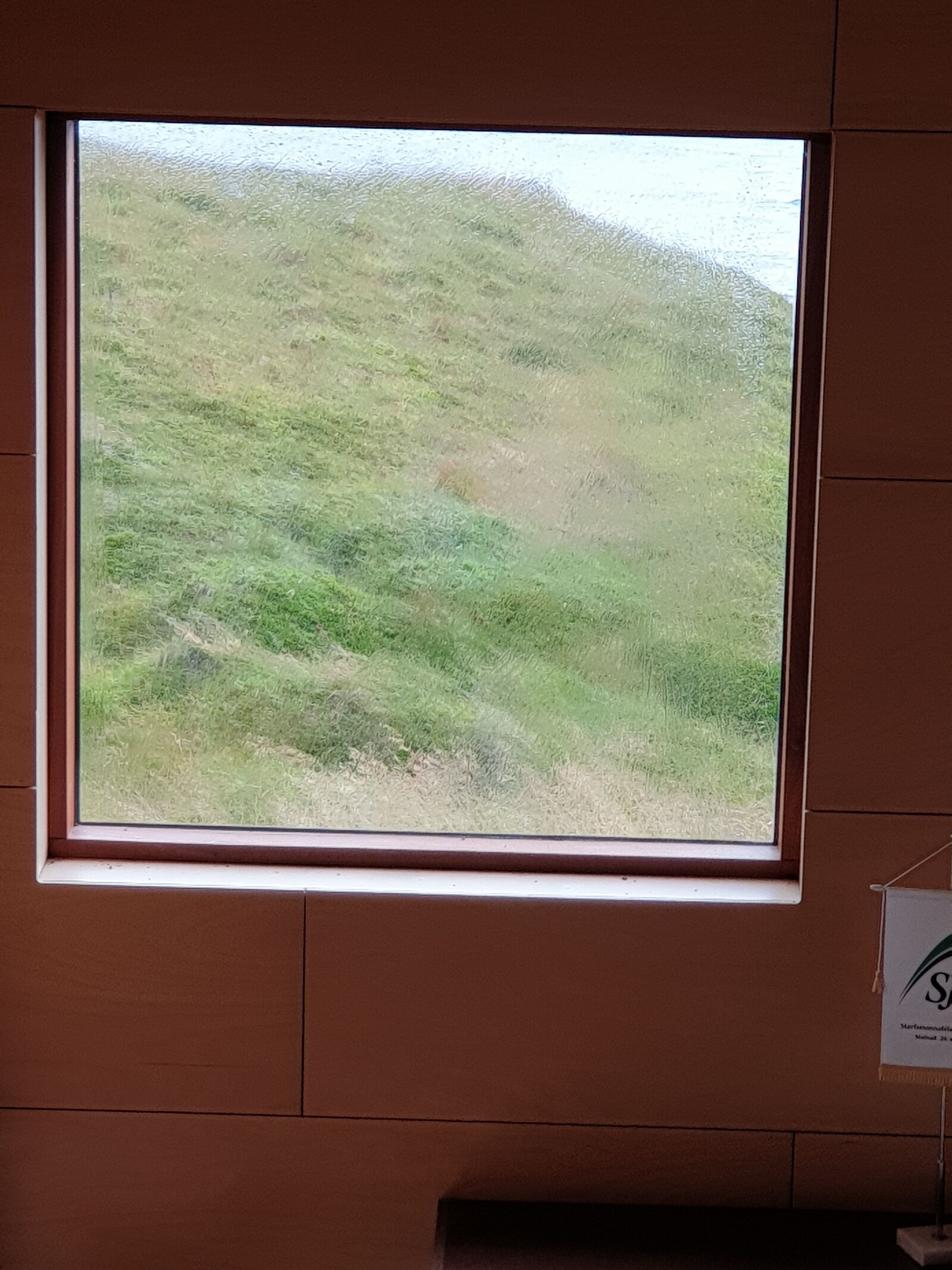 Samsung Galaxy Note9 sample photo. Window, wall, grass photography