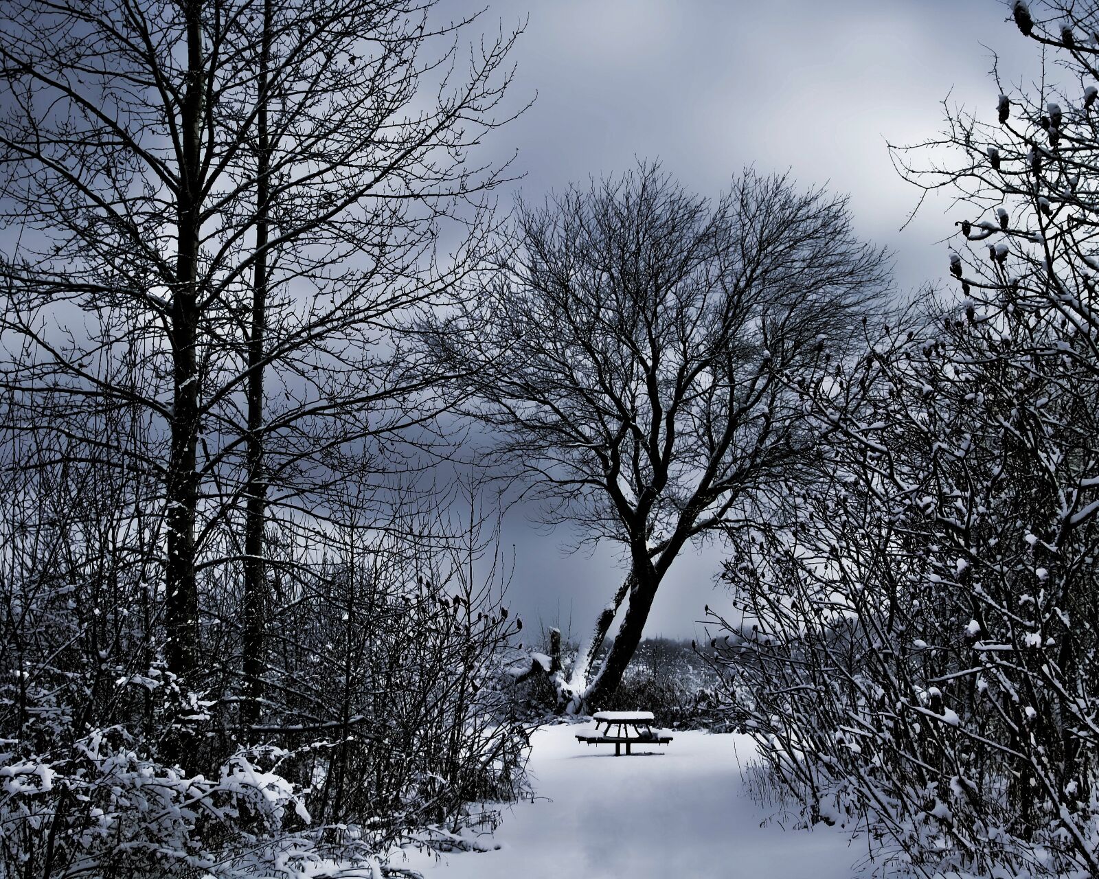 Nikon D70 sample photo. Winter scenery, snowy bench photography