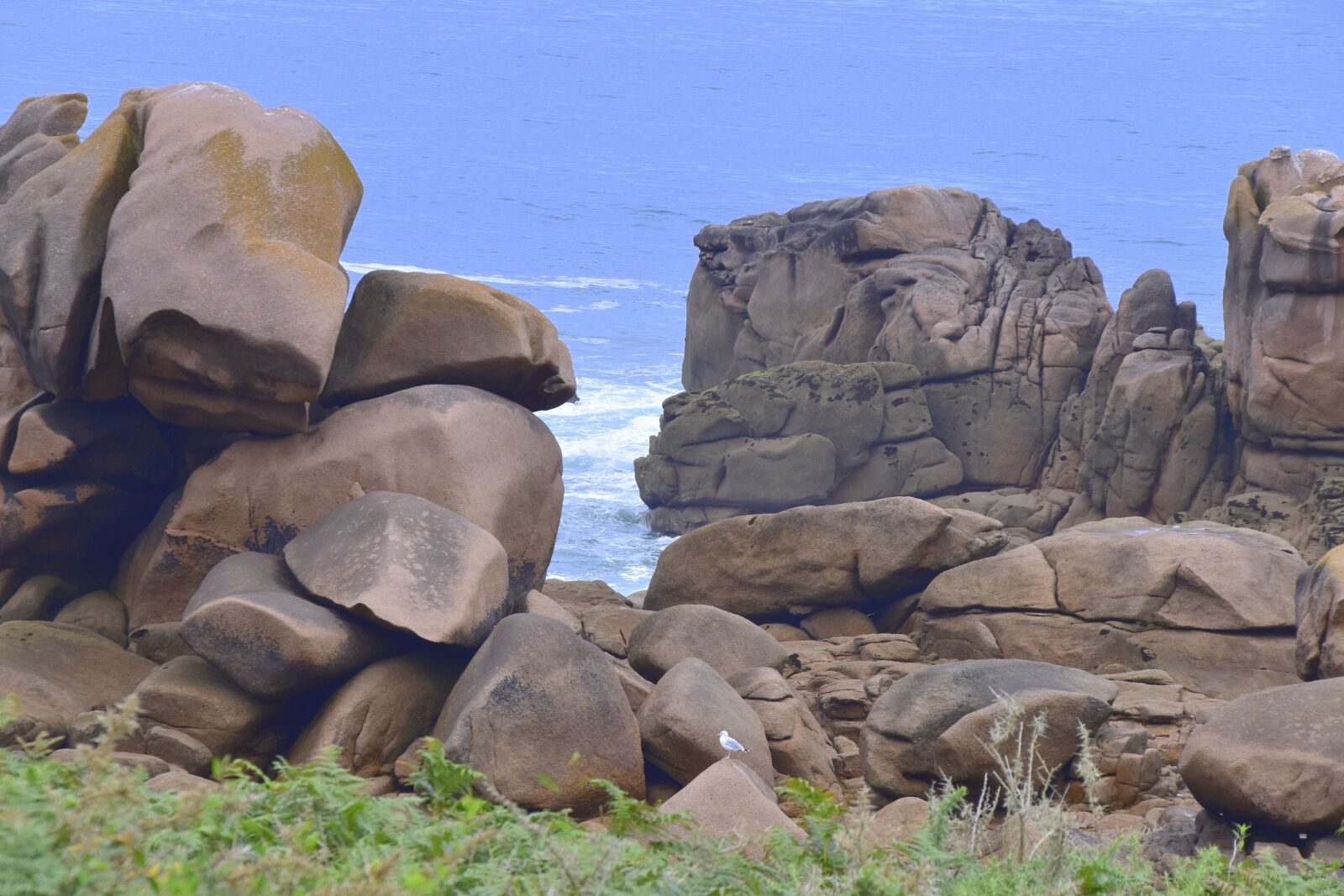 Nikon D5600 sample photo. Rock, sea, coast photography