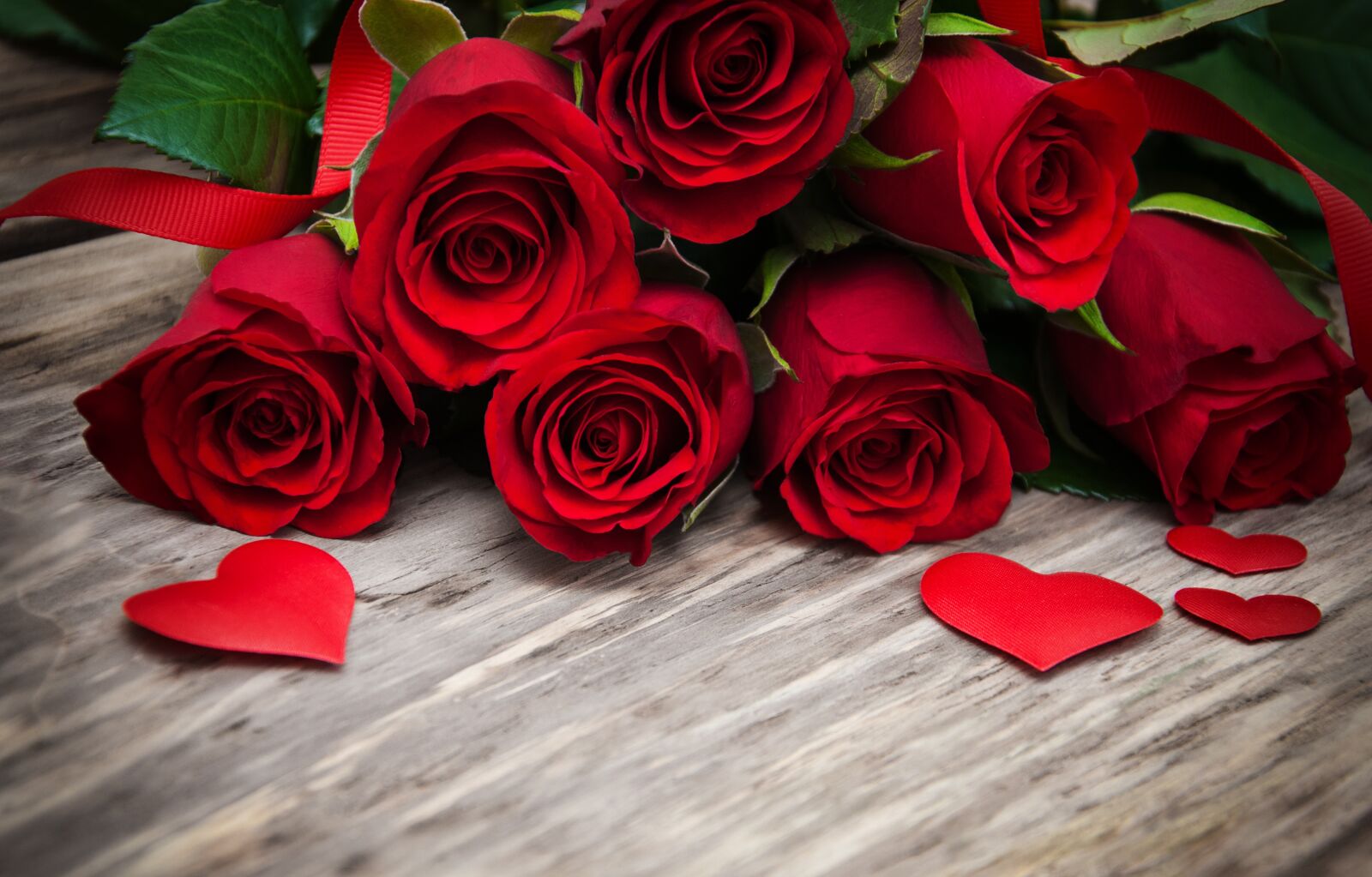 Nikon D90 sample photo. Rose, beautiful, amazing photography