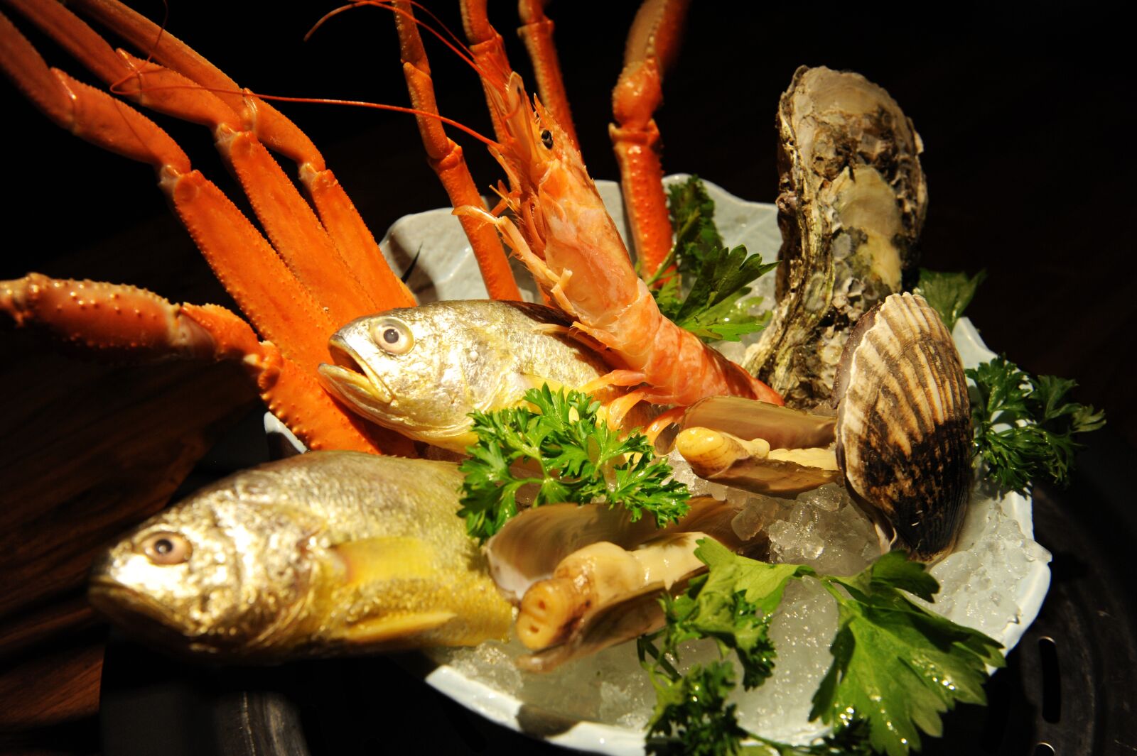 Nikon D700 sample photo. East china sea yellow photography