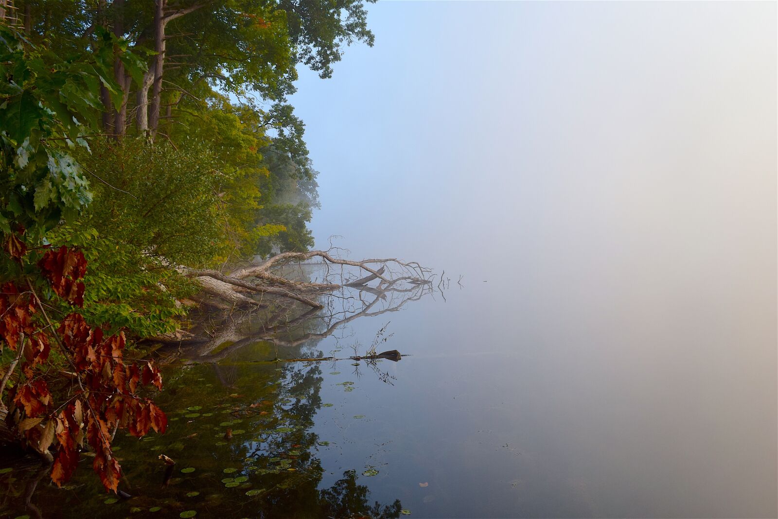 Nikon D3300 sample photo. Lake, fog, rock photography