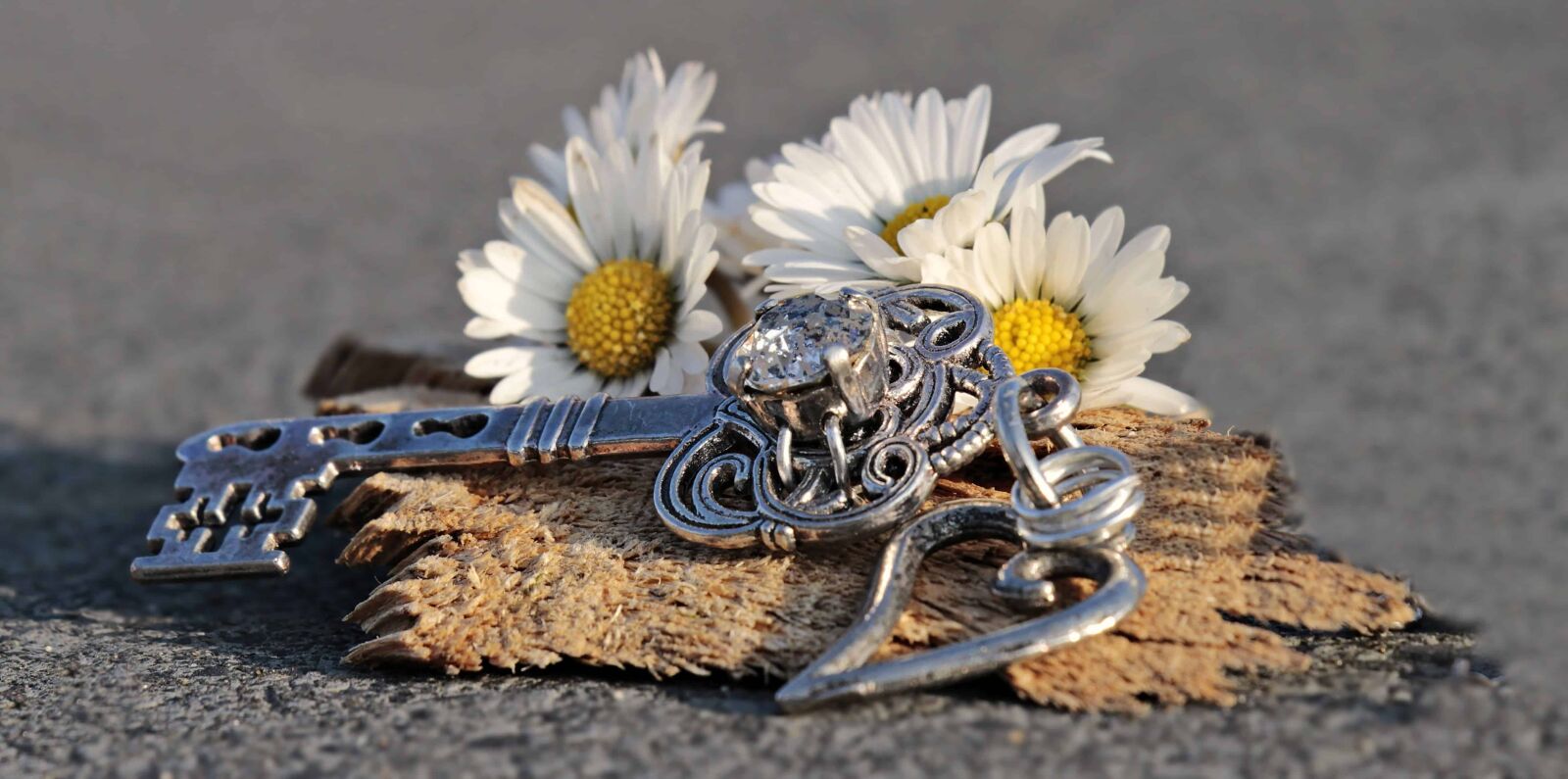 Canon EOS 100D (EOS Rebel SL1 / EOS Kiss X7) sample photo. Still life, key, daisy photography
