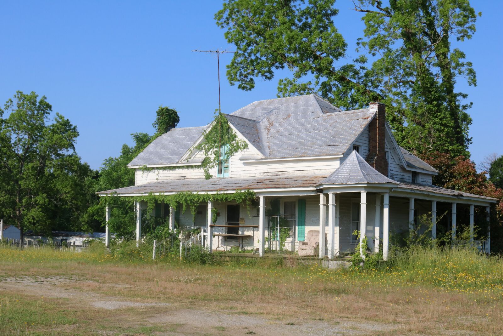 Canon EOS 750D (EOS Rebel T6i / EOS Kiss X8i) sample photo. House, old, kudzu photography