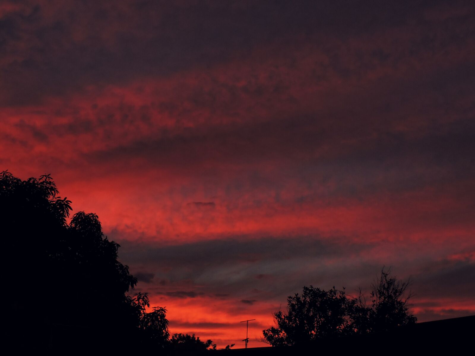 Nikon Coolpix P530 sample photo. Sunset photography