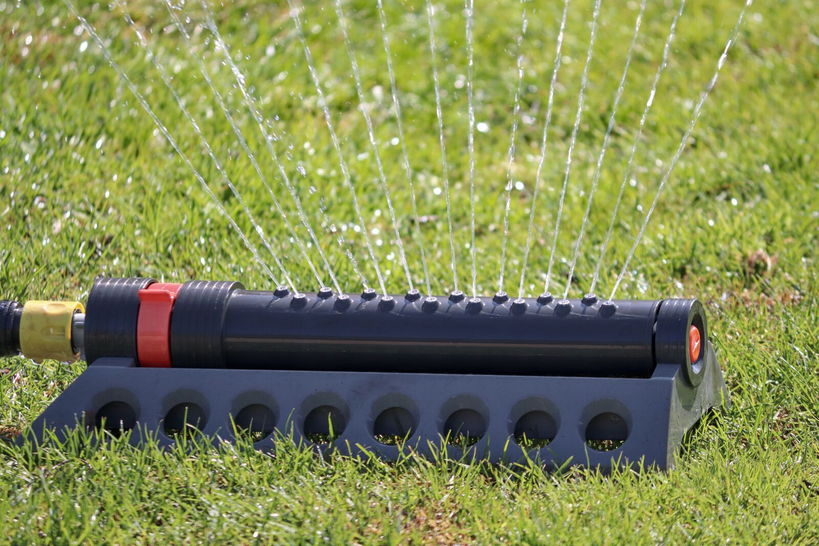 Canon EOS 200D (EOS Rebel SL2 / EOS Kiss X9) sample photo. Sprinkler, water, meadow photography