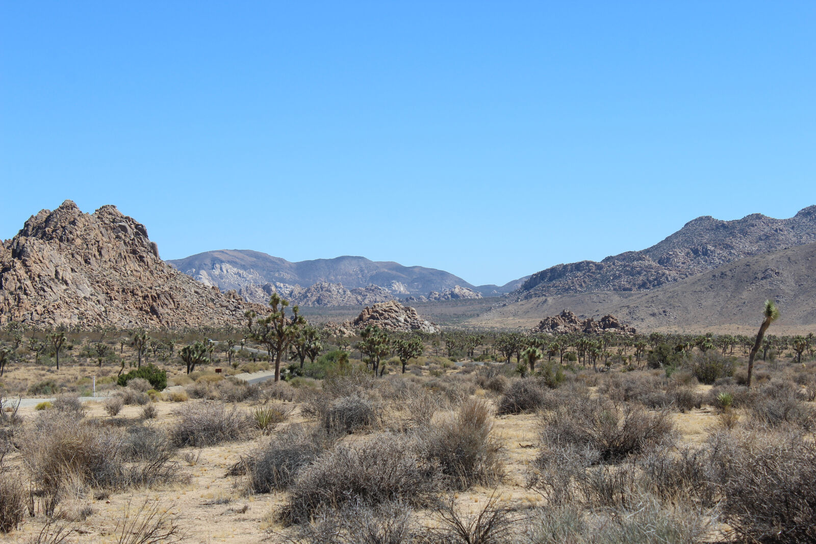 Canon EOS 1200D (EOS Rebel T5 / EOS Kiss X70 / EOS Hi) sample photo. Desert, joshua, tree photography