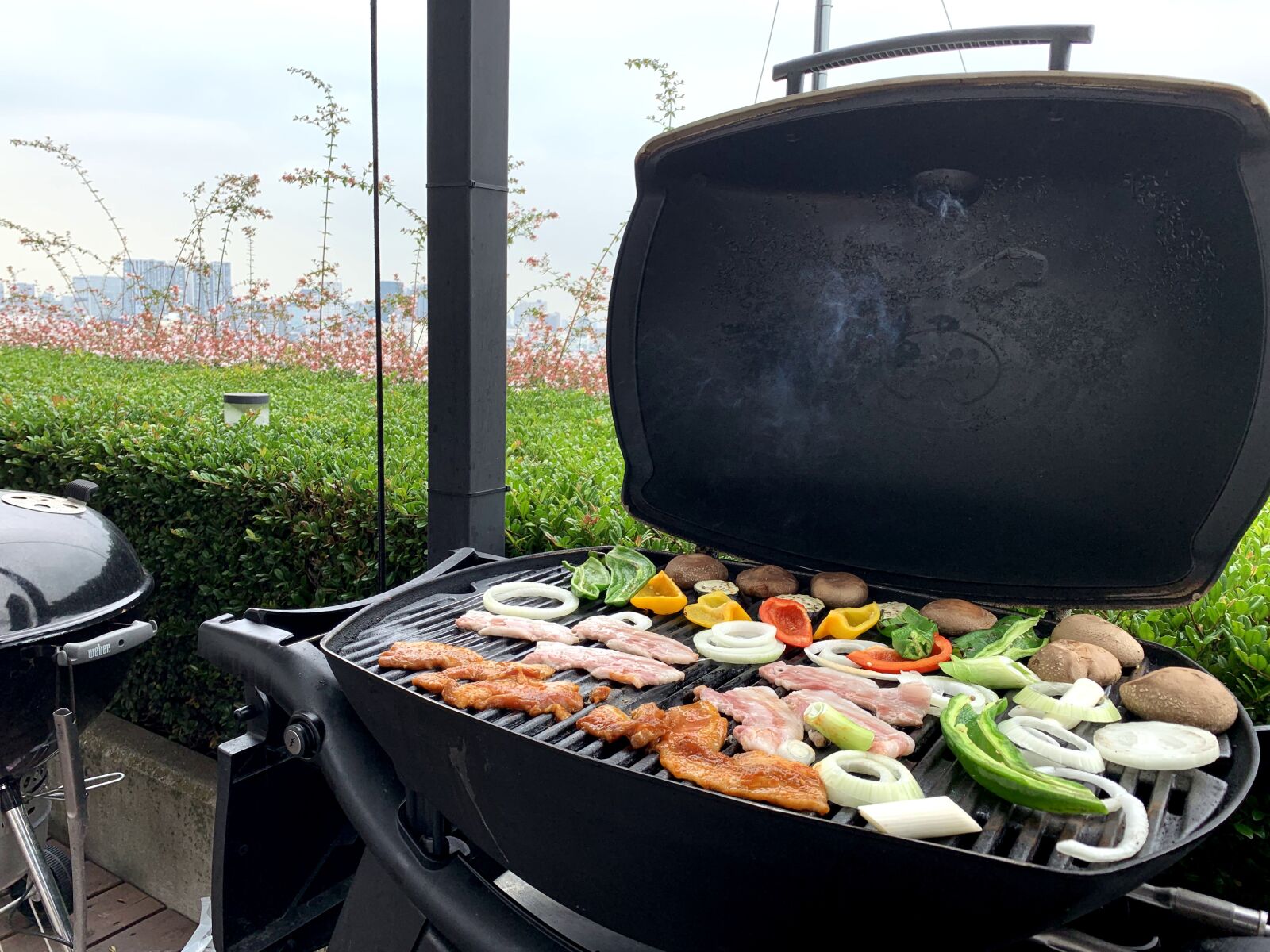 Apple iPhone XS sample photo. Outdoor, bbq, barbecue photography