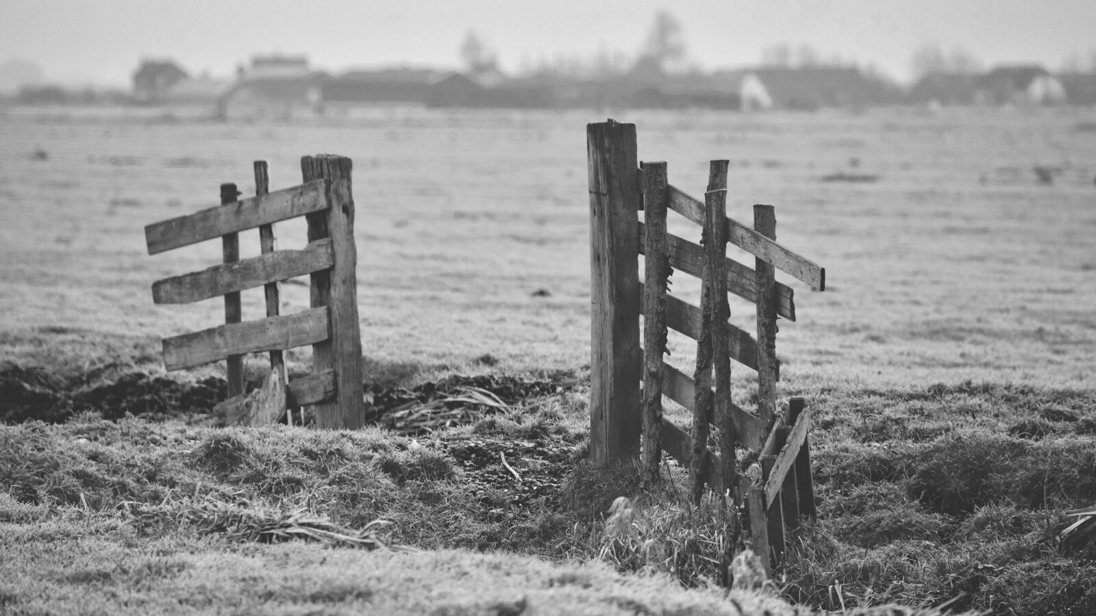 Canon EF 100-400mm F4.5-5.6L IS USM sample photo. Abandoned, agricultural, agriculture, bare photography