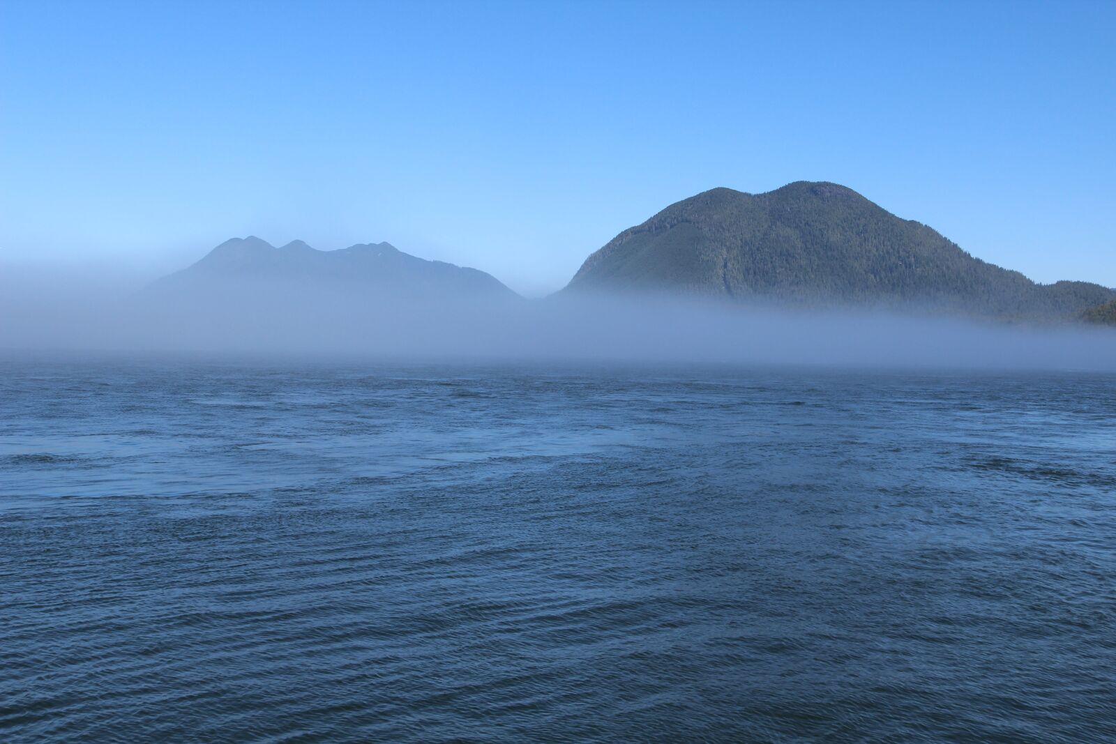 Canon EOS 600D (Rebel EOS T3i / EOS Kiss X5) sample photo. Fog, foggy, hill photography