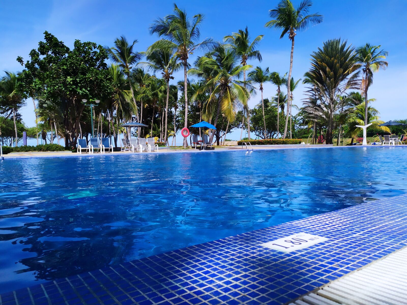 Xiaomi Redmi Note 7 sample photo. Pool, palms, tropical photography