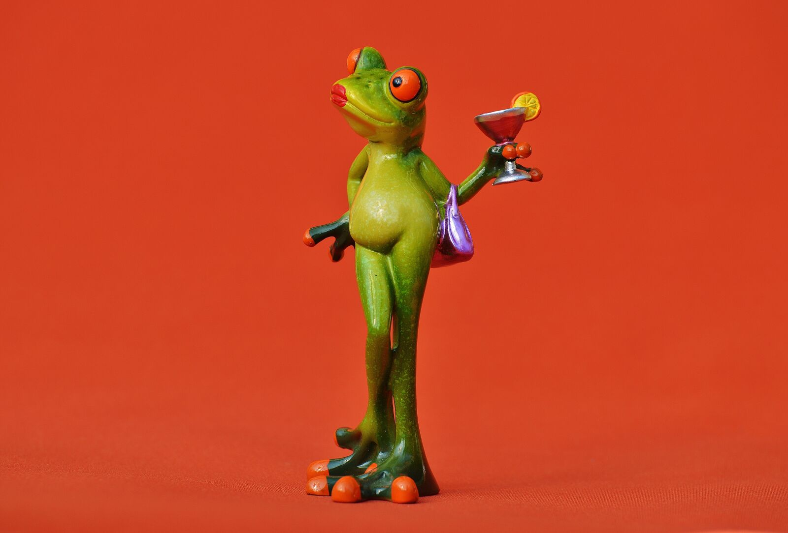 Nikon D3200 sample photo. Frog, chick, lady photography