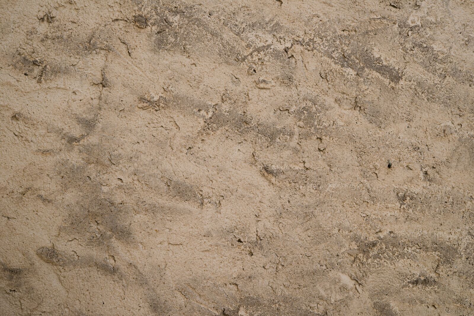 Nikon D800 sample photo. Texture, coating, beige photography