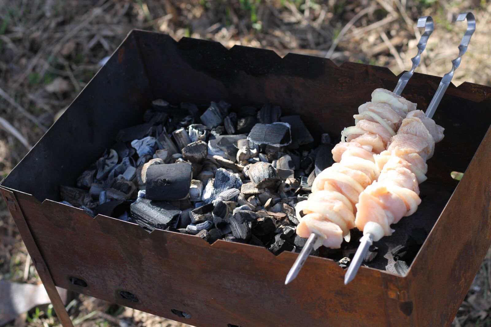 Canon EOS 1100D (EOS Rebel T3 / EOS Kiss X50) + Canon EF 50mm F1.8 STM sample photo. Shish kebab, nature, food photography