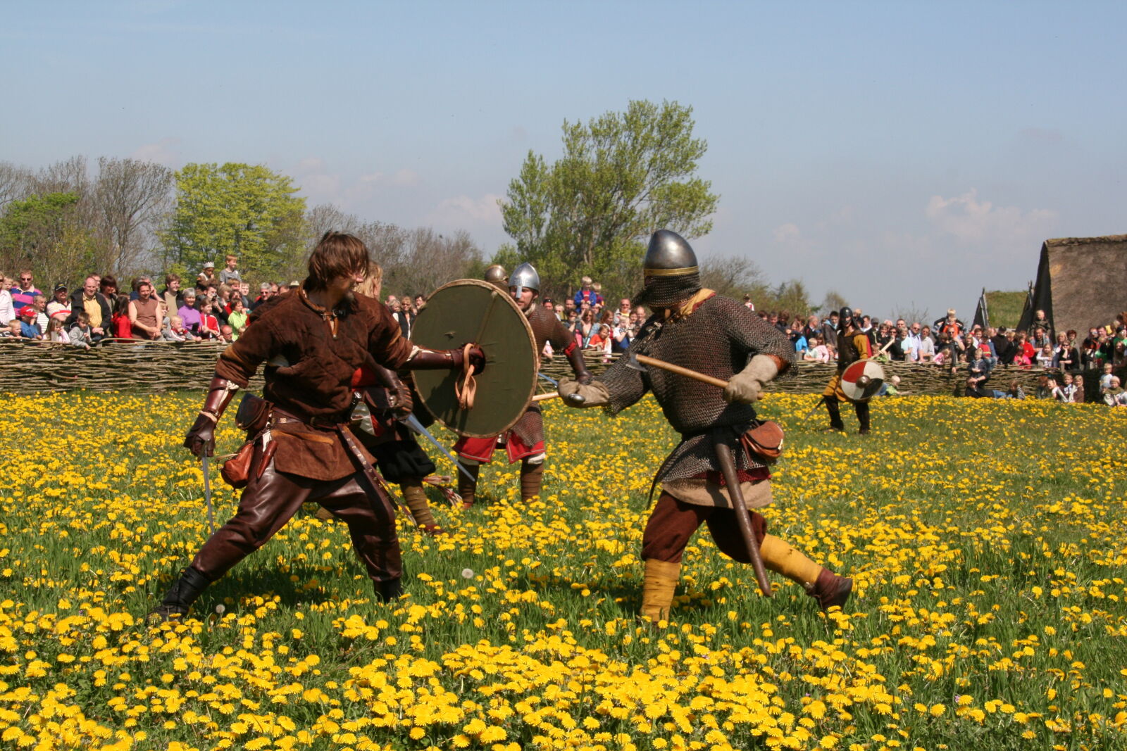 Sigma 18-200mm f/3.5-6.3 DC OS sample photo. Vikings photography