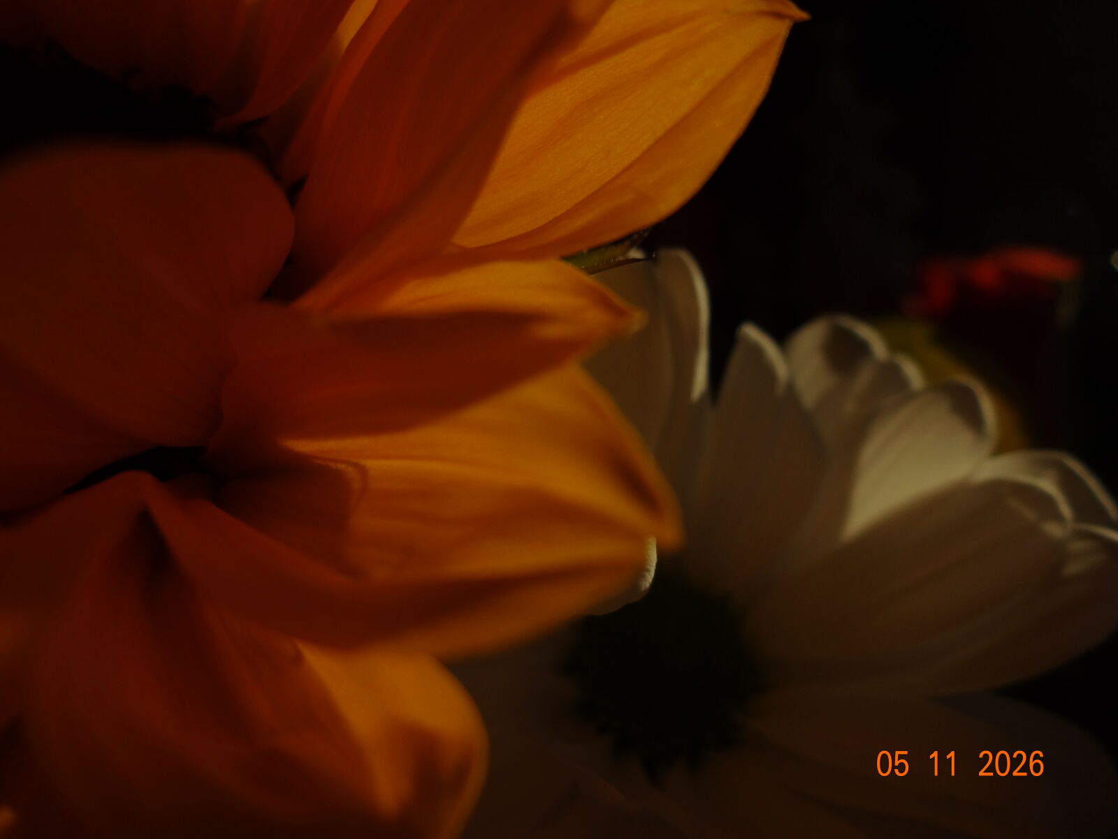 Sony DSC-WX100 sample photo
