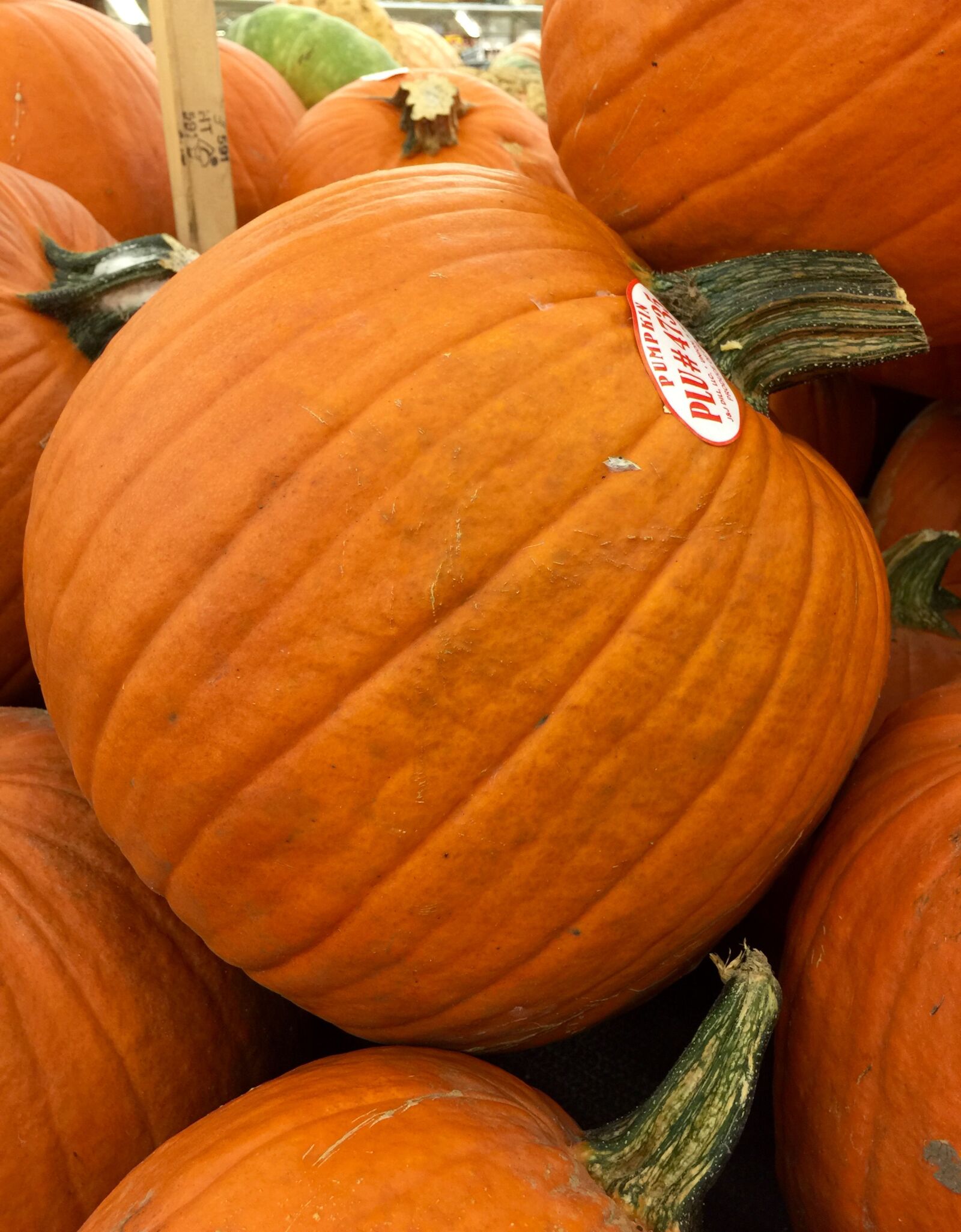 iPhone 6 Plus back camera 4.15mm f/2.2 sample photo. Autumn, decoration, halloween, harvest photography