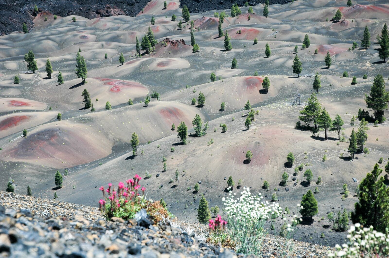 Nikon D70 sample photo. Painted dunes, lassen national photography