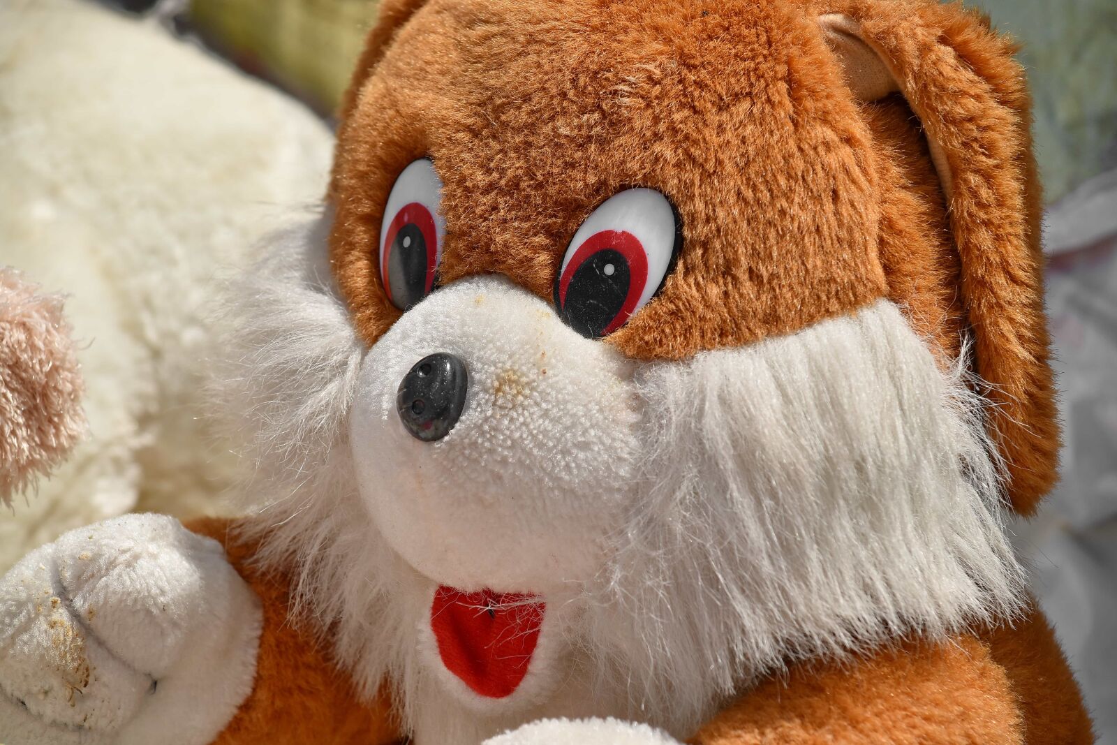Nikon D5500 sample photo. Teddy bear toy, fur photography