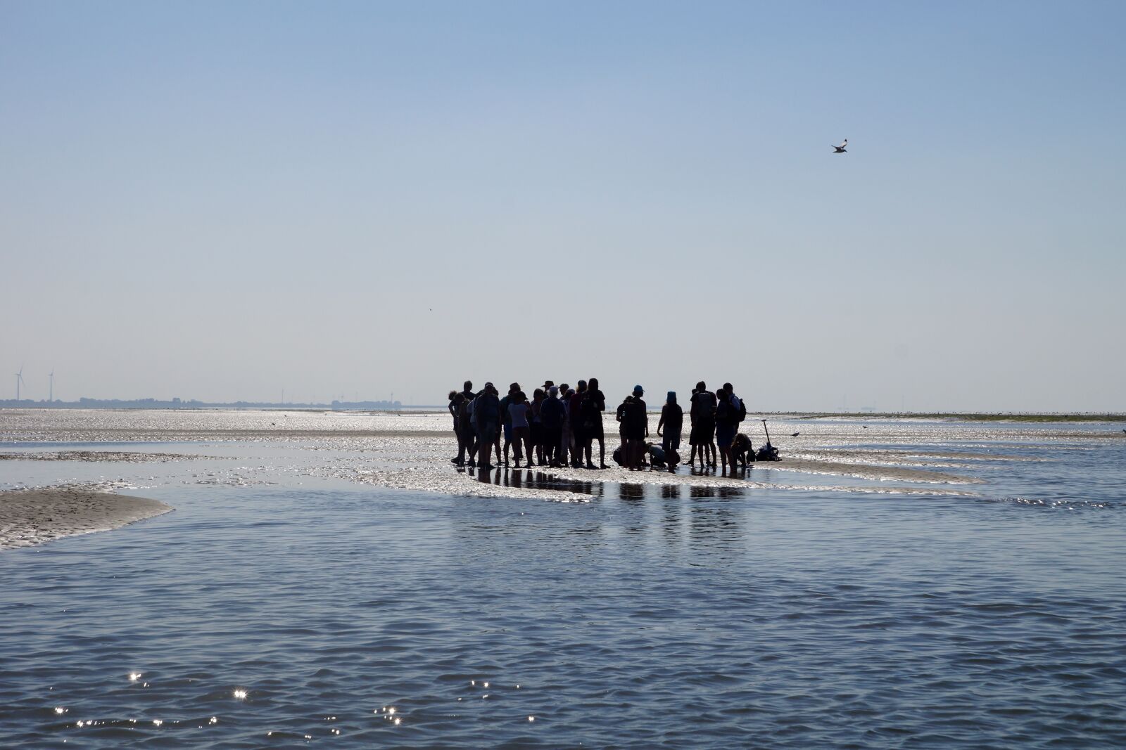 Sony SLT-A77 sample photo. Wadden sea, watt hike photography