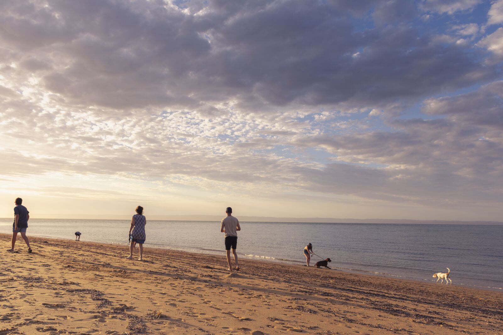 Nikon D7100 sample photo. Beach, australia, people photography