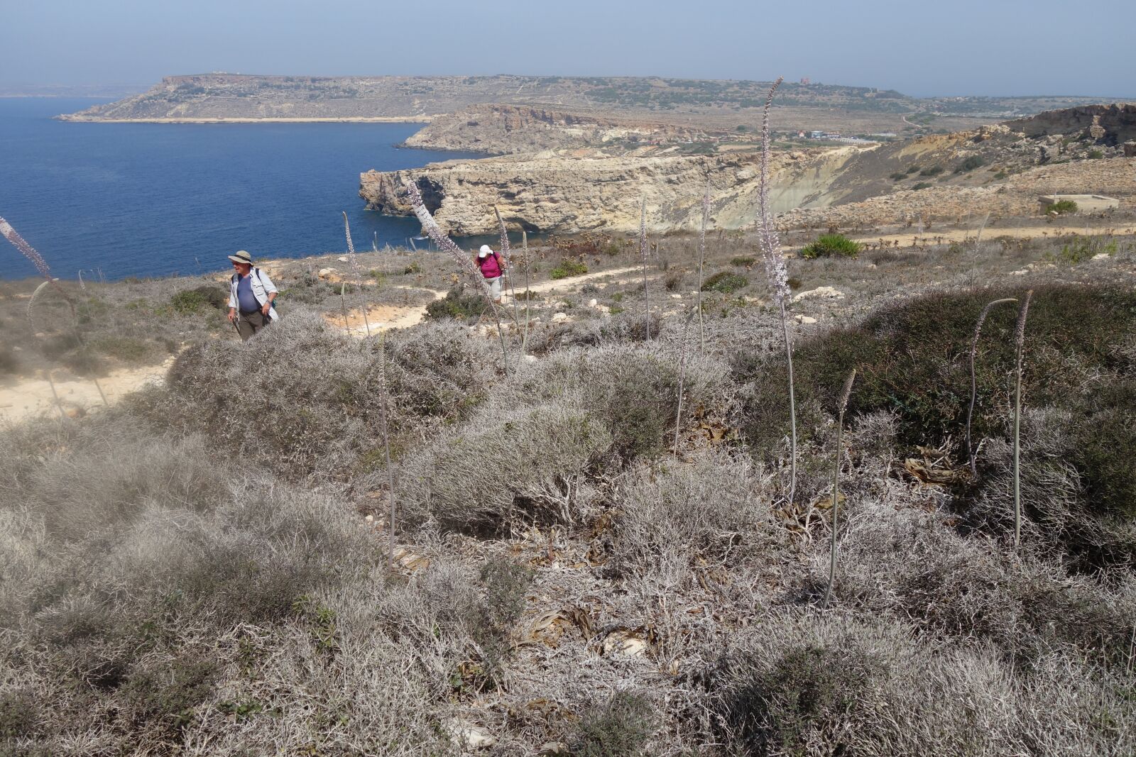 Sony Cyber-shot DSC-RX100 II sample photo. Malta, side, mediterranean photography