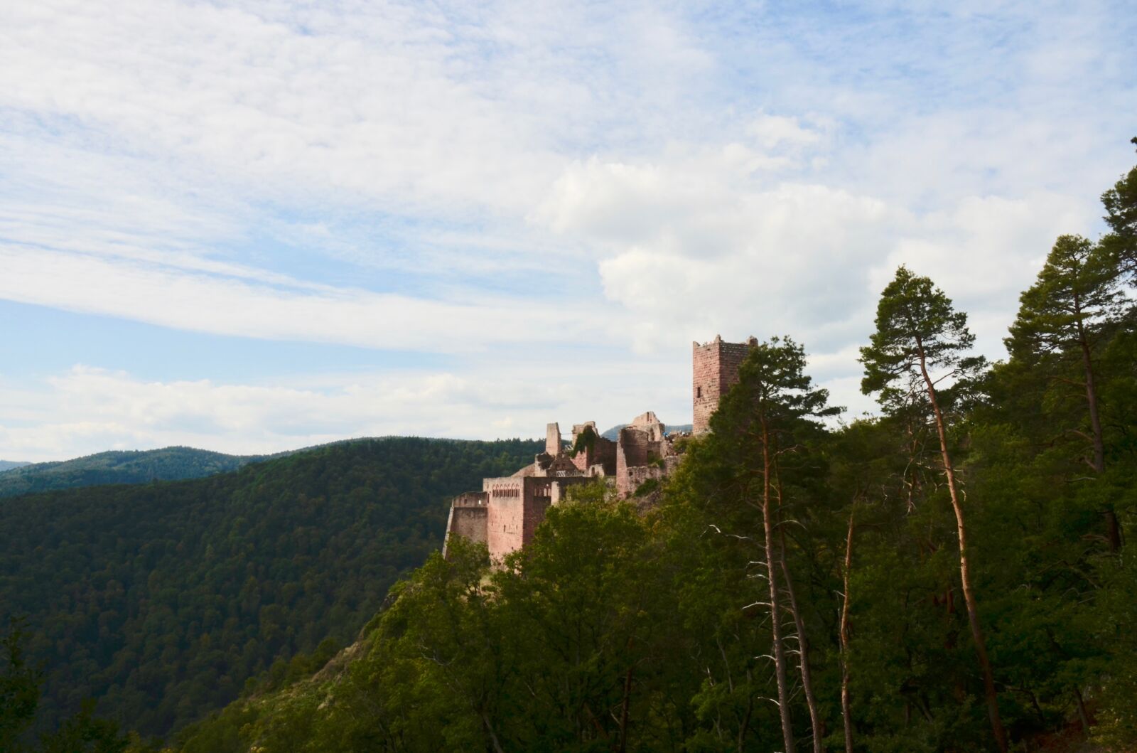 Nikon D5100 sample photo. Burgruine, alsace, france photography