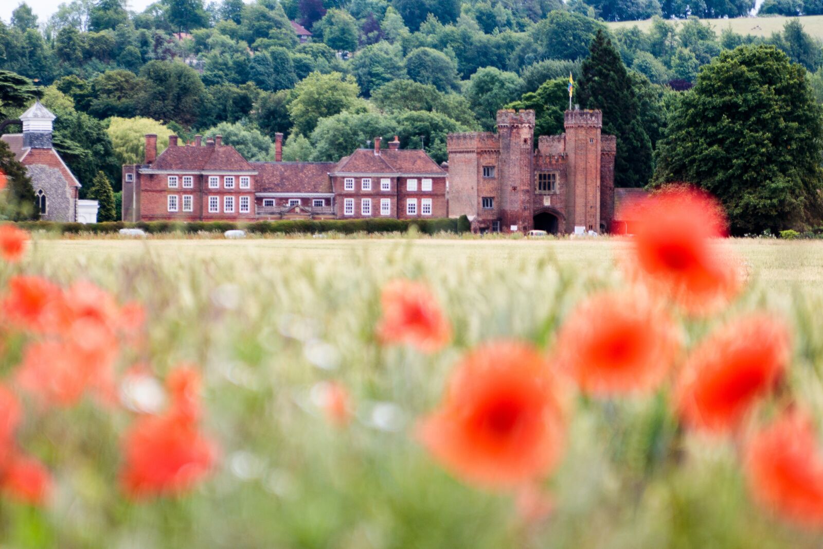 Canon EOS 80D sample photo. Uk, countryside, poppies photography