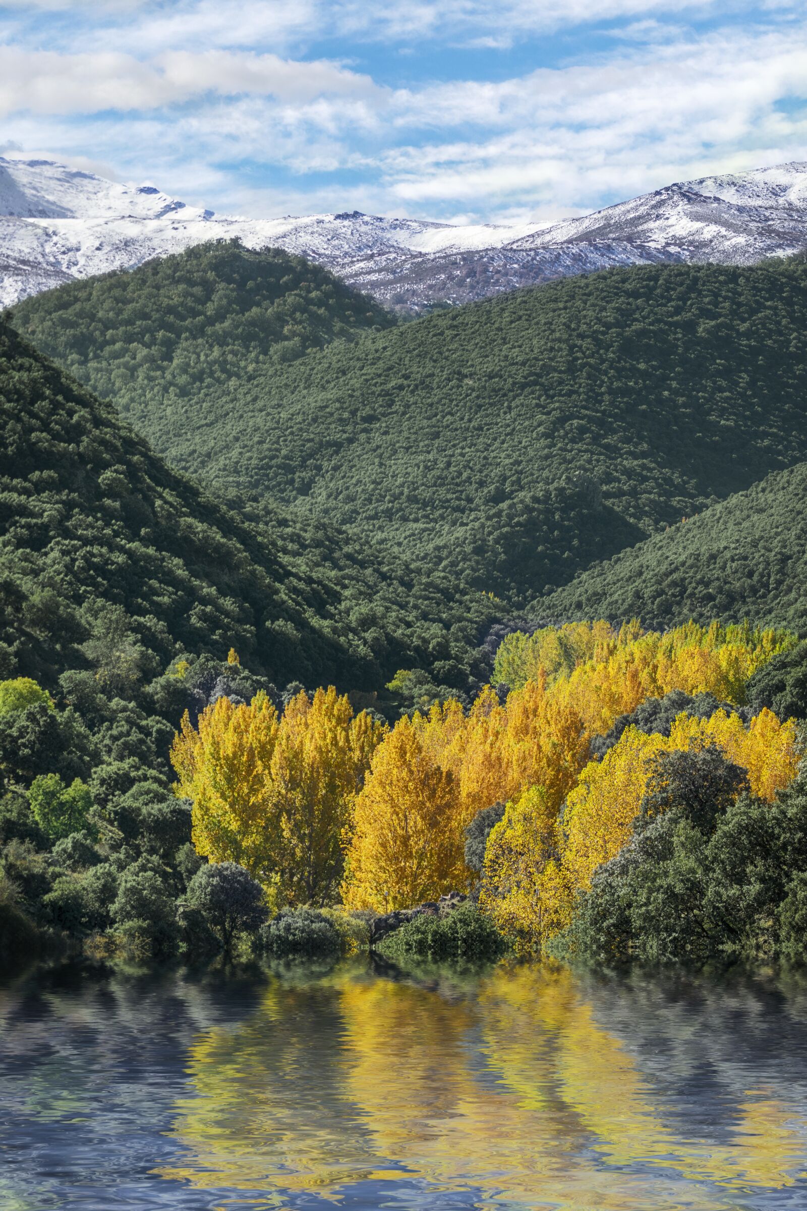 Nikon D3300 sample photo. Autumn, trees, reflection photography