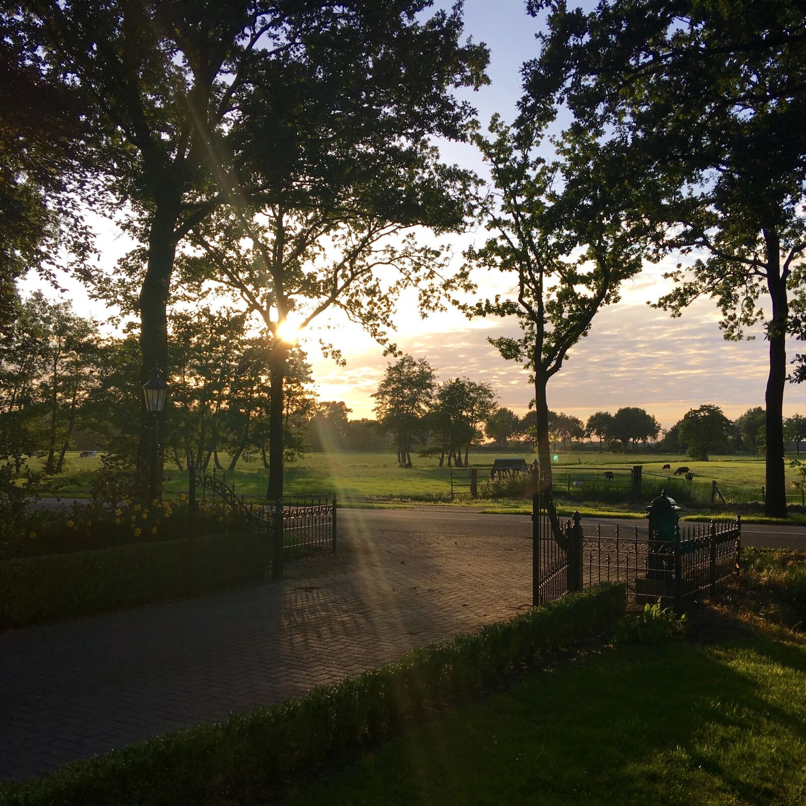 Apple iPhone 6s Plus sample photo. Ruinerwold, haakswold, drenthe photography