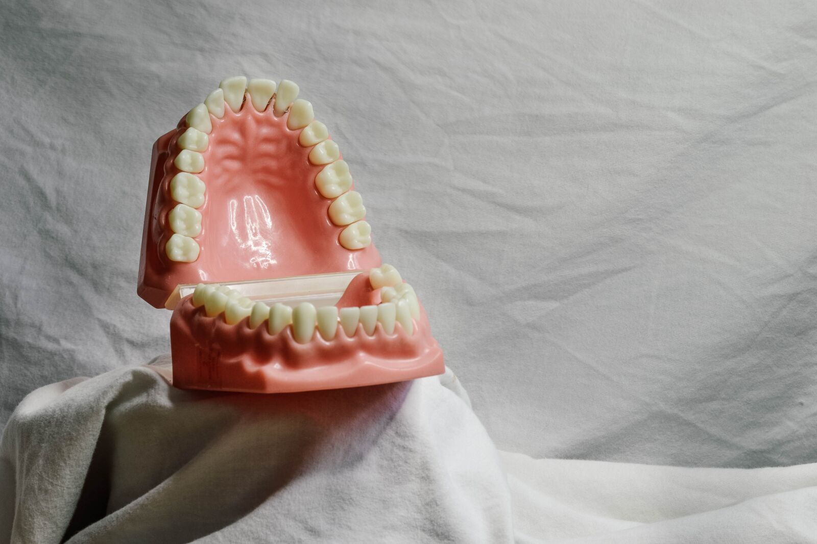 Nikon D3100 sample photo. Teeth, dental, dental model photography