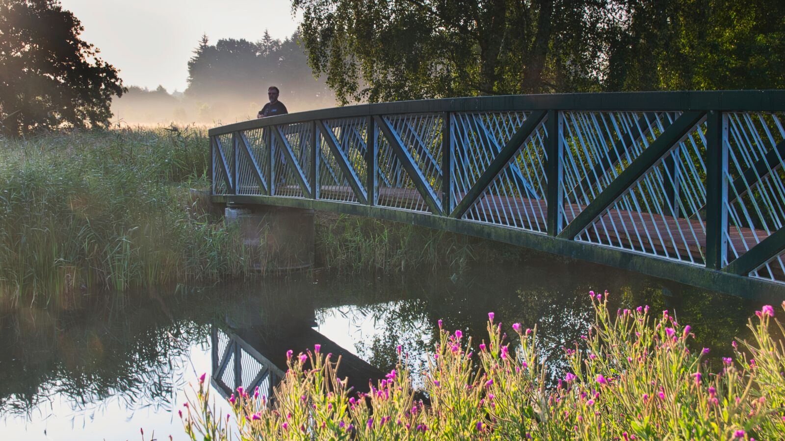 Nikon D5300 sample photo. Bridge, river, water photography