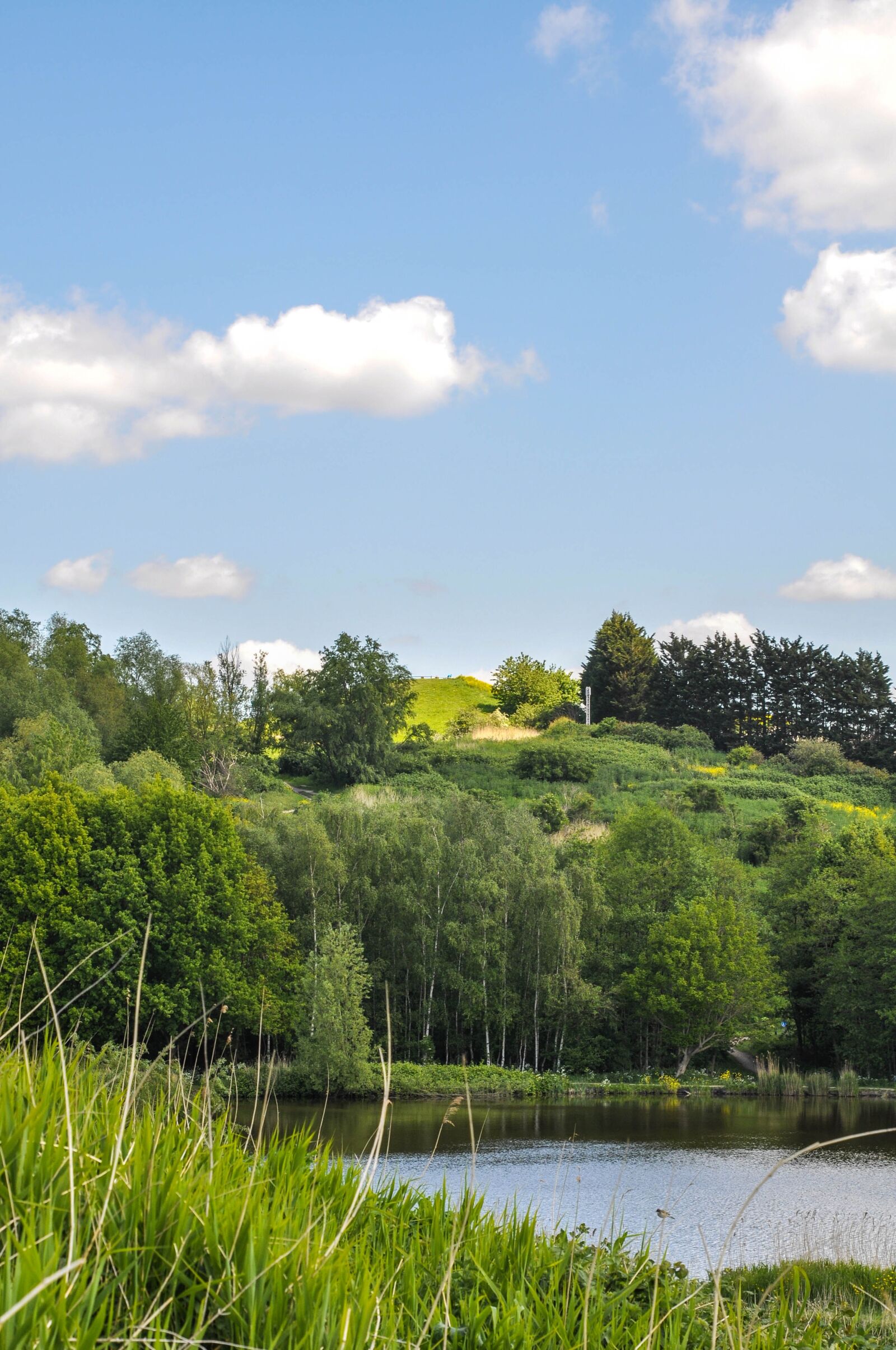 Nikon D90 sample photo. Lake, grass, water photography