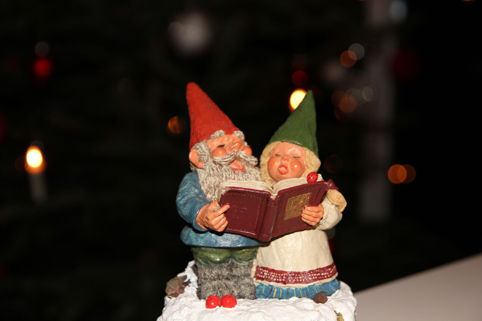 Canon EOS 550D (EOS Rebel T2i / EOS Kiss X4) sample photo. Christmas decorations, christmas carol photography