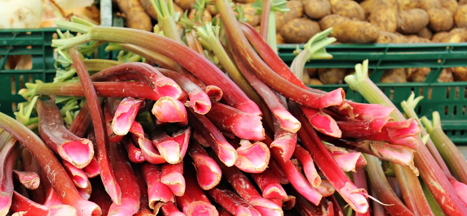 Canon EOS 550D (EOS Rebel T2i / EOS Kiss X4) sample photo. Rhubarb, farmers local market photography