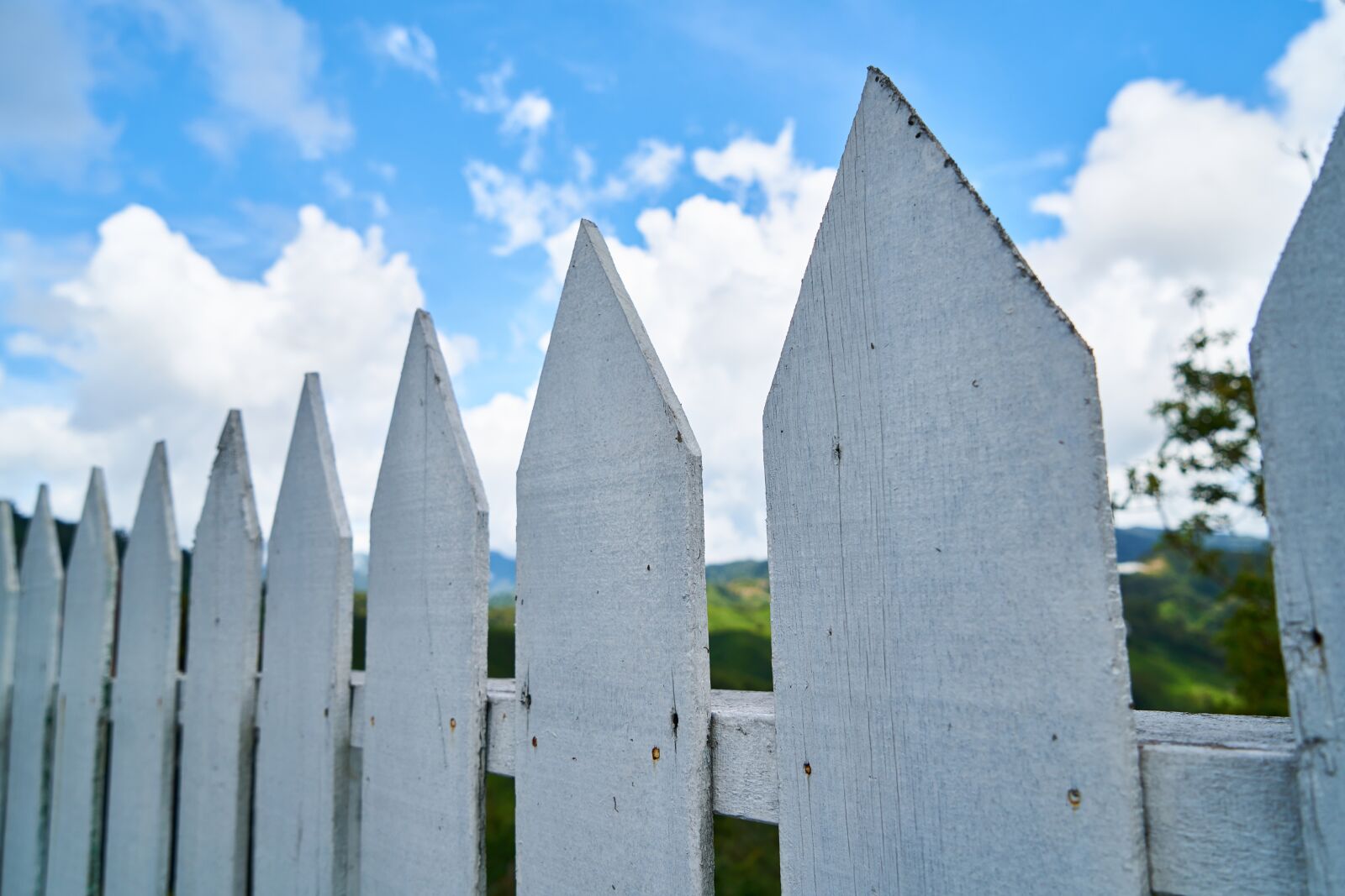 Sony a7R II sample photo. Fence, white, wood-fibre boards photography