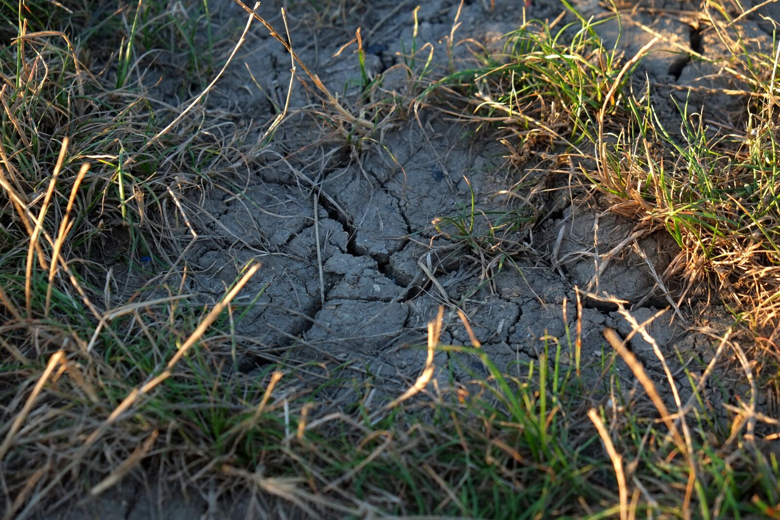 Fujifilm X-E1 sample photo. Ground, cracks, drought photography