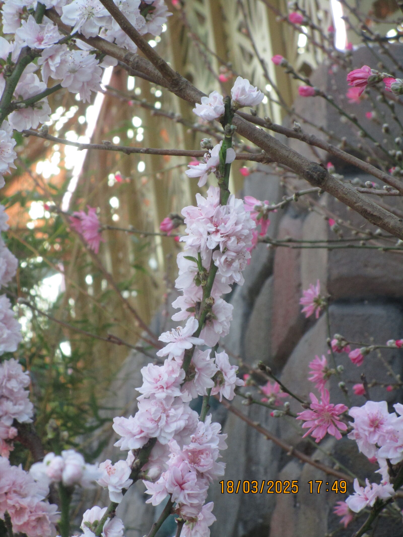 Canon PowerShot ELPH 150 IS (IXUS 155 / IXY 140) sample photo