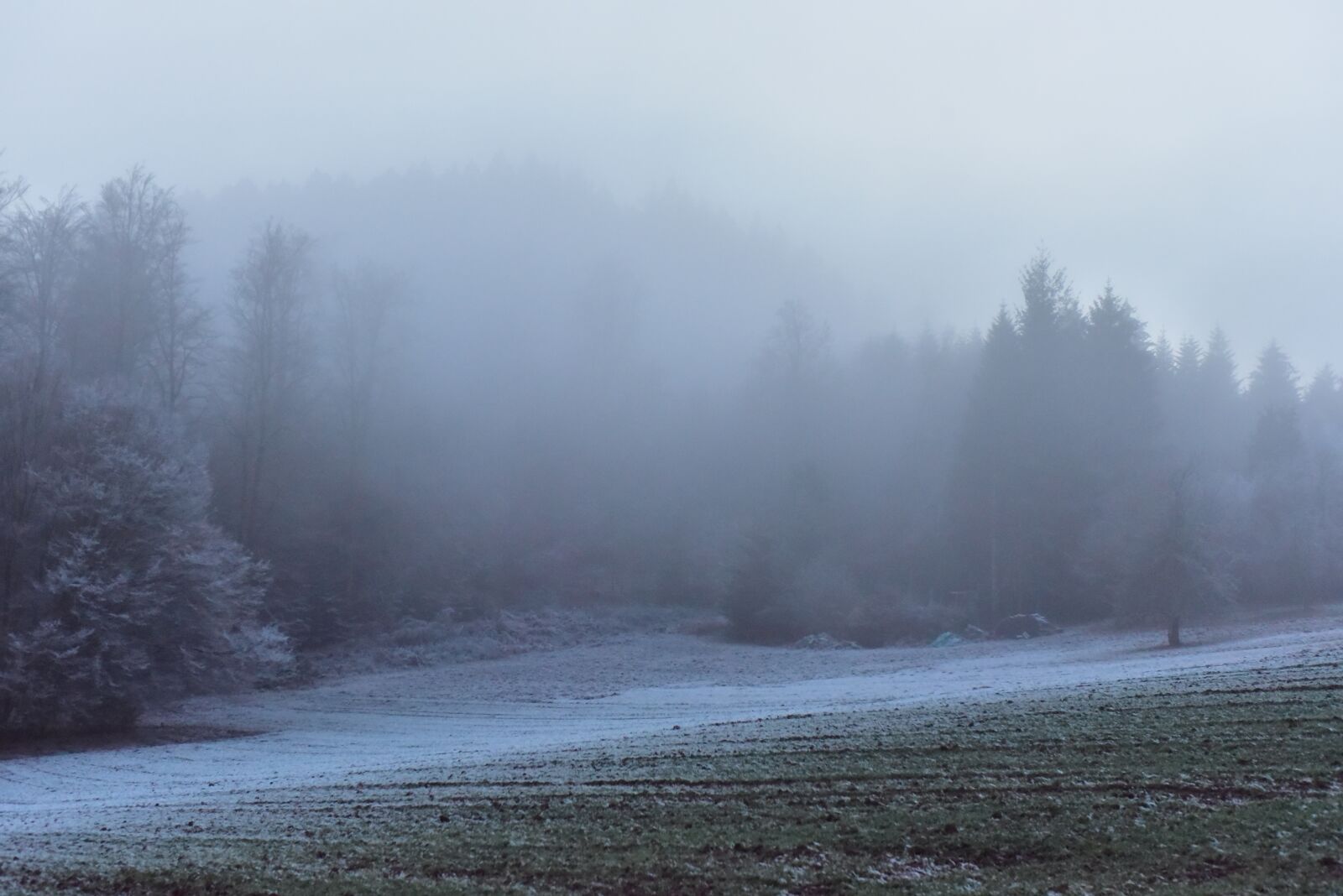 Nikon D750 sample photo. Wintry, cold, winter photography