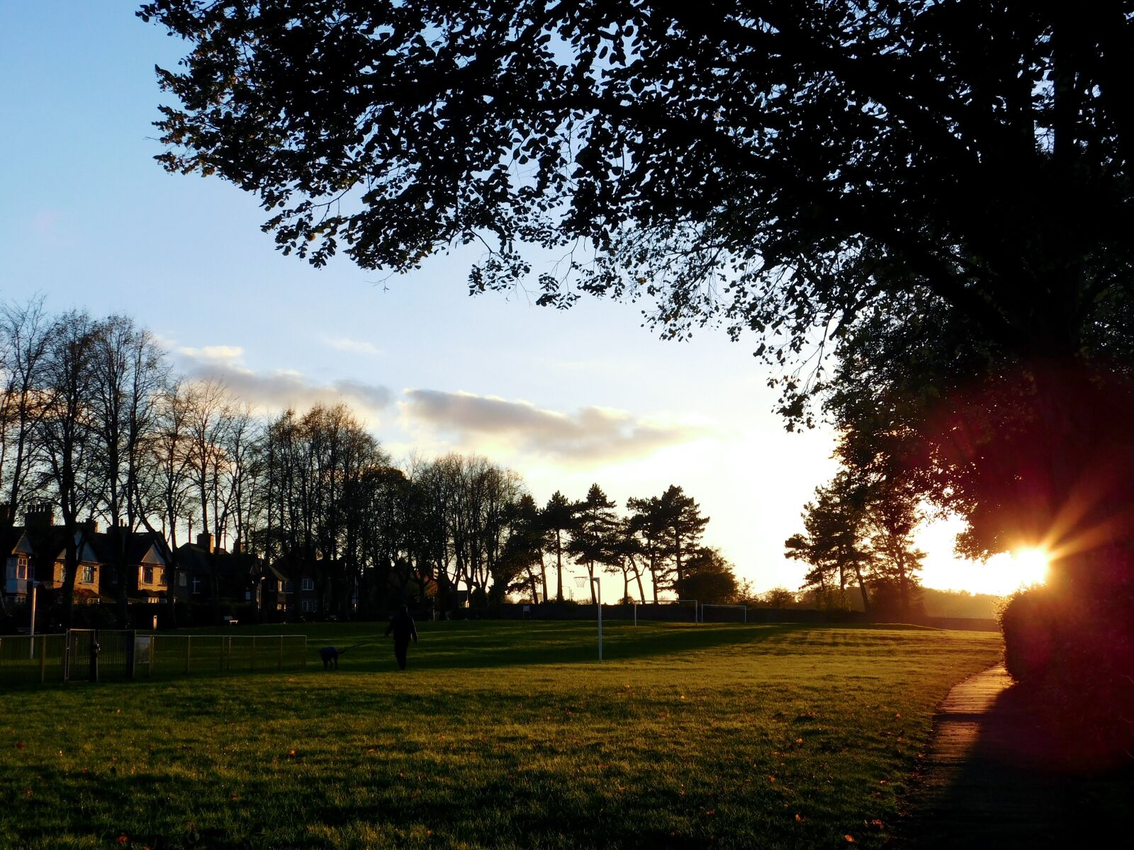 Nikon Coolpix L840 sample photo. Sunrise, park, autumn photography