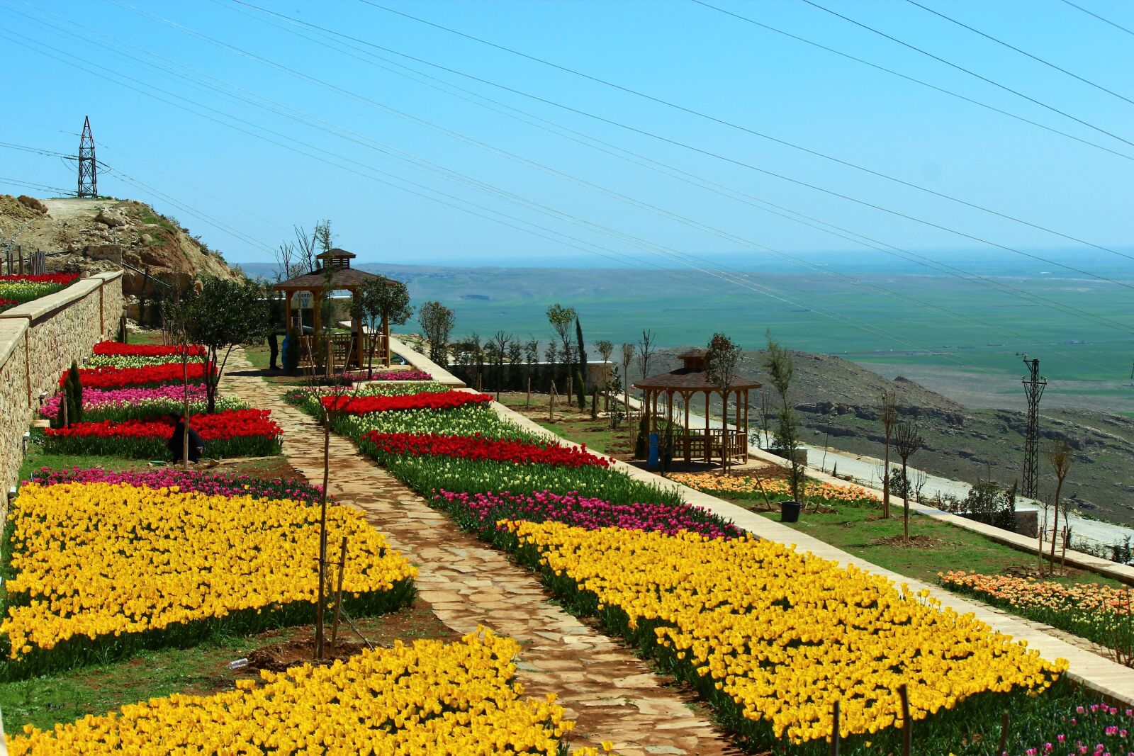 Canon EOS 600D (Rebel EOS T3i / EOS Kiss X5) sample photo. Flower, sky, travel photography