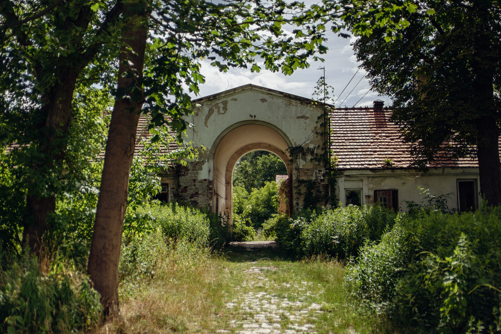 Sony a7 II sample photo