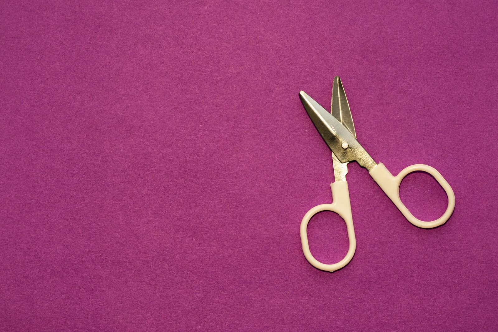 Nikon D5300 sample photo. Scissors, tool, cut photography