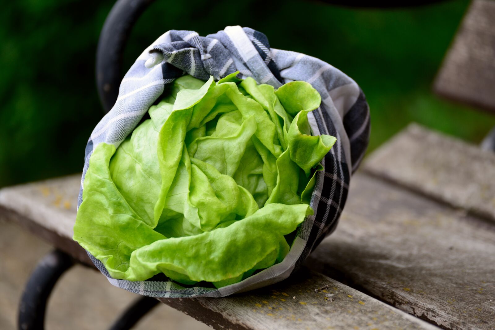 Nikon D610 sample photo. Salad, green salad, head photography
