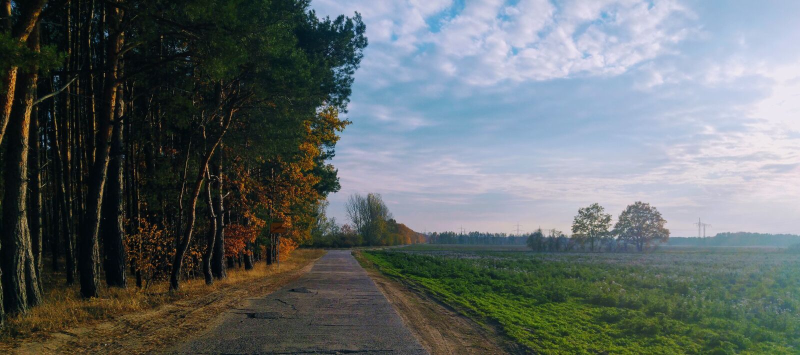 LG G4 sample photo. Germany, brandenburg, nature photography