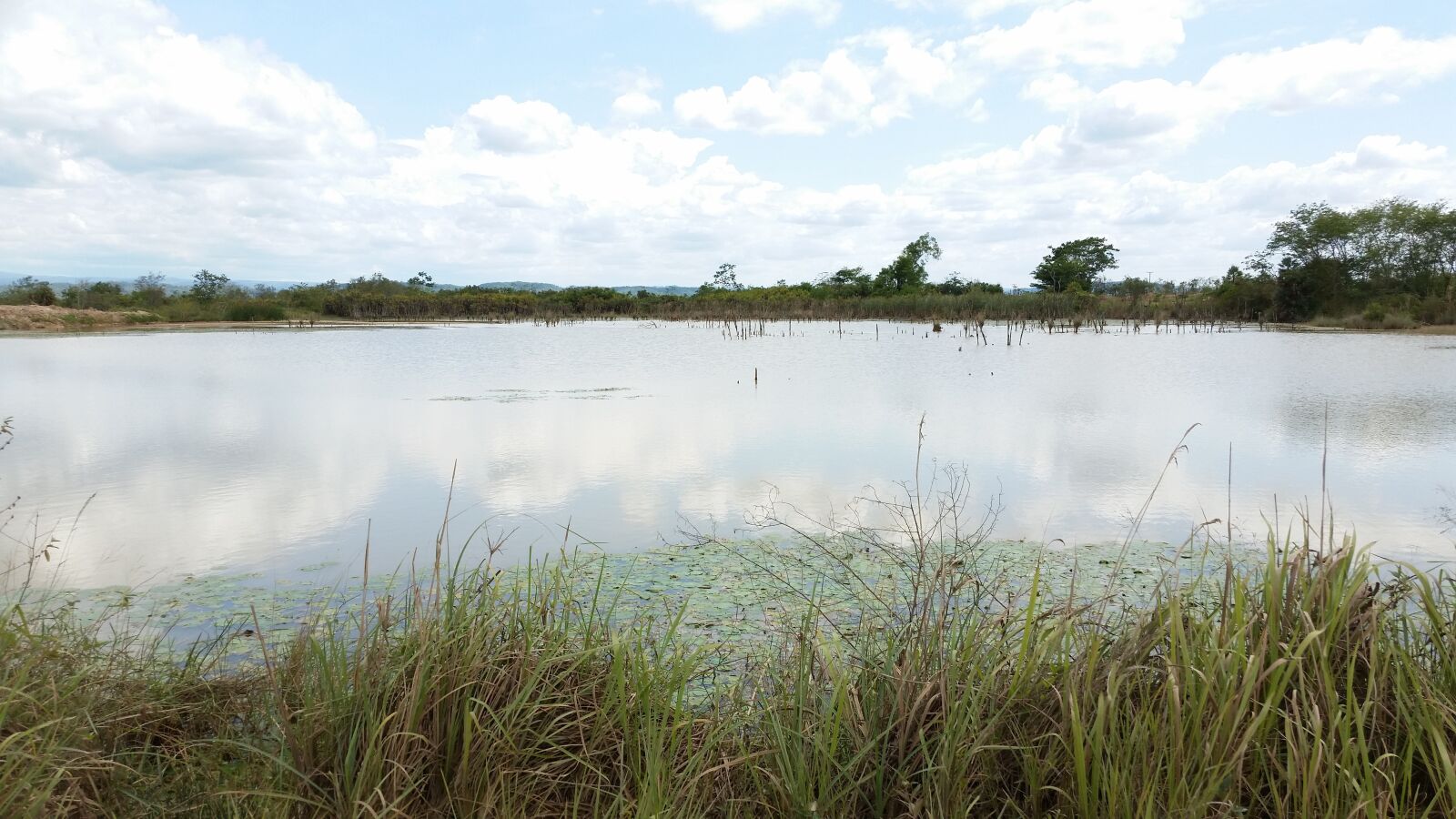 Samsung Galaxy S5 sample photo. Lake, swamp, scenery photography