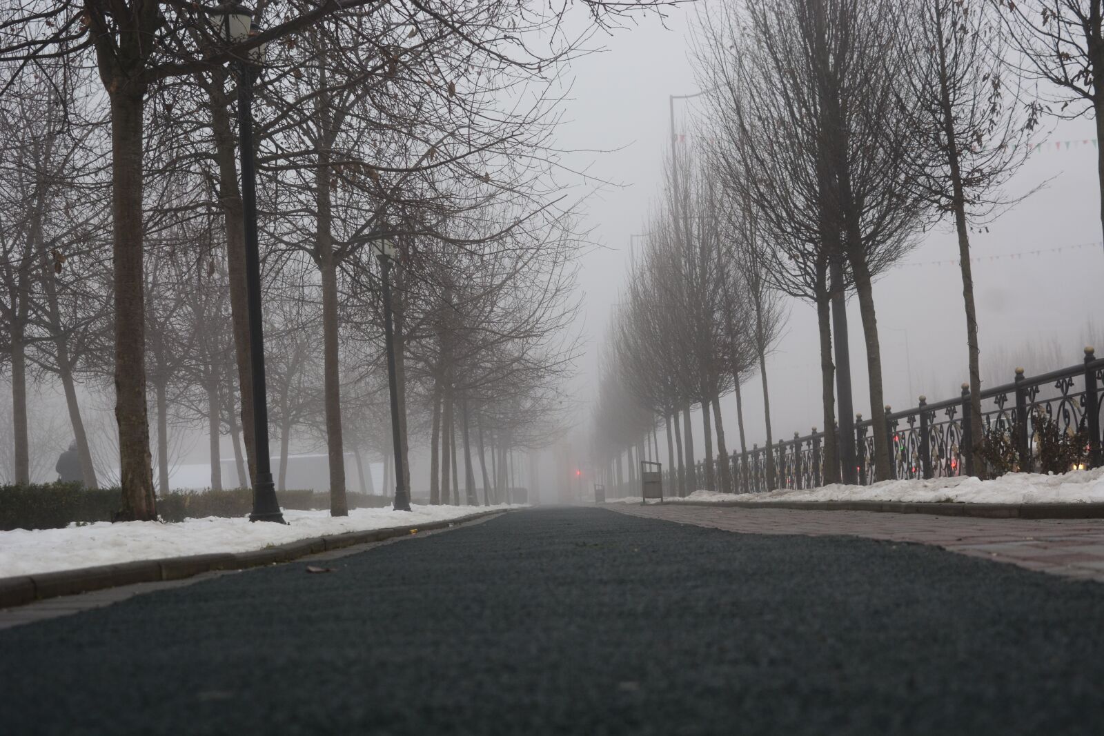 Nikon D5200 sample photo. Fog, alley, autumn photography