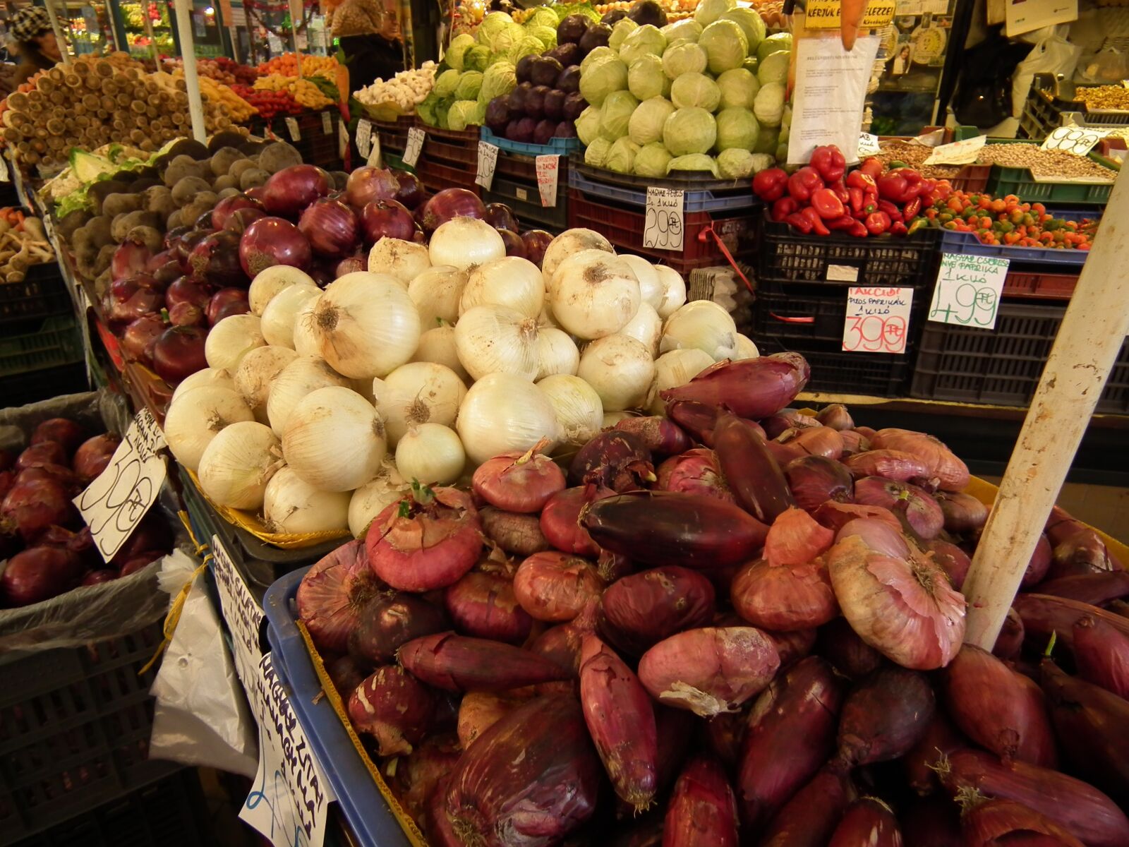 FujiFilm FinePix HS10 (FinePix HS11) sample photo. Vegetables, onion, hungarian vegetable photography