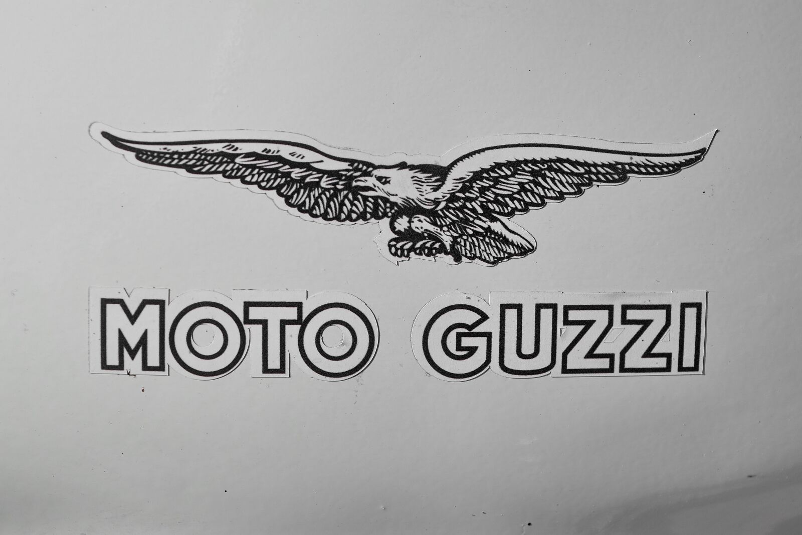 Nikon D5500 sample photo. Black and white, eagle photography